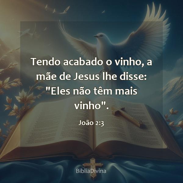 João 2:3