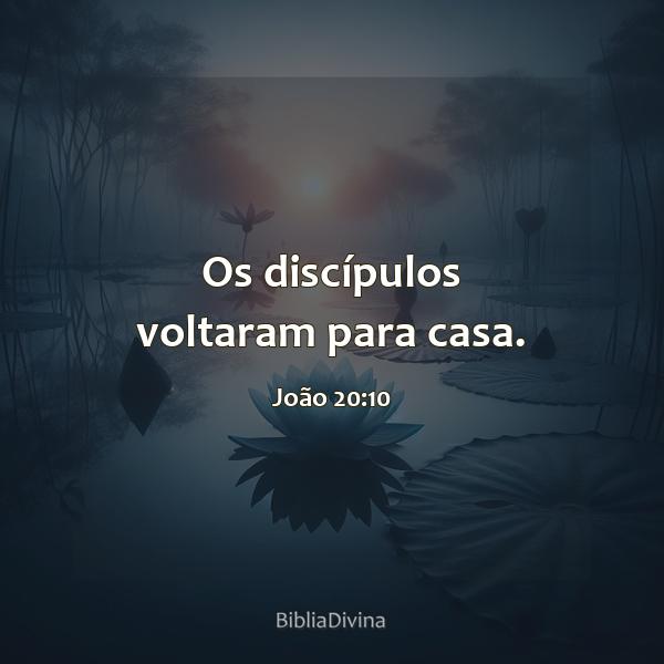 João 20:10