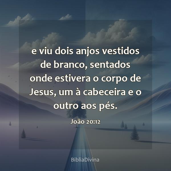 João 20:12