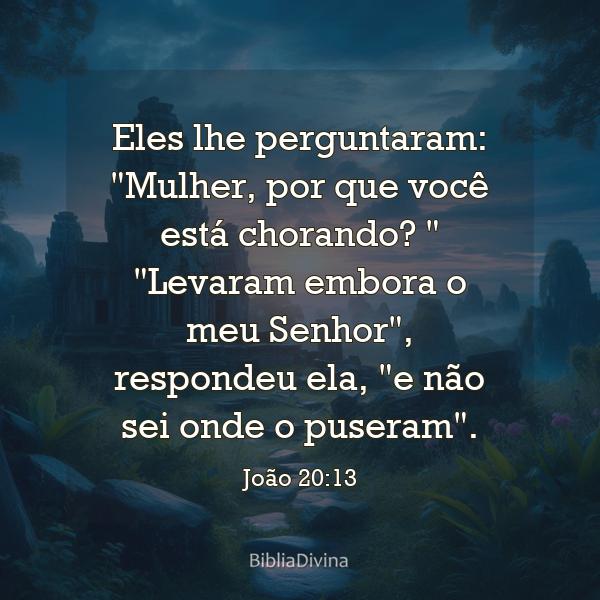 João 20:13