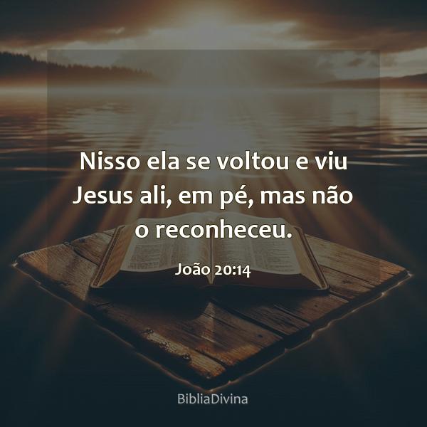 João 20:14