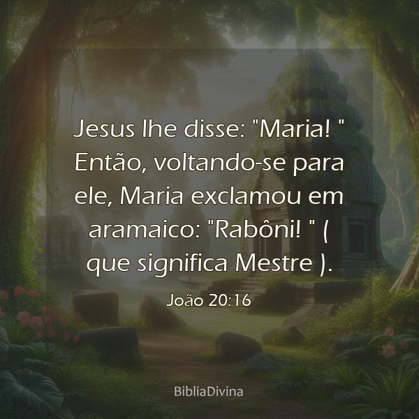 João 20:16