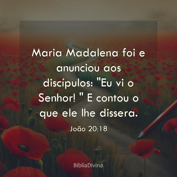 João 20:18