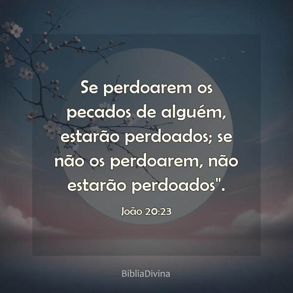 João 20:23