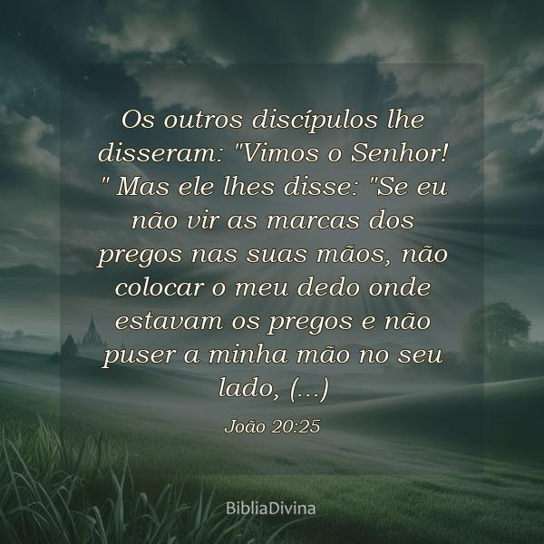 João 20:25