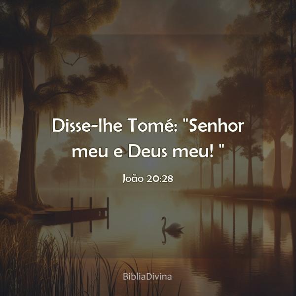 João 20:28