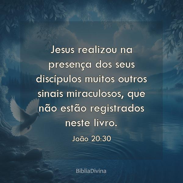 João 20:30