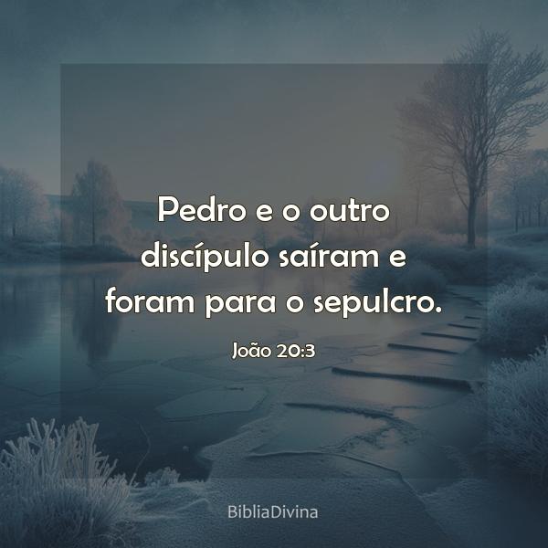 João 20:3