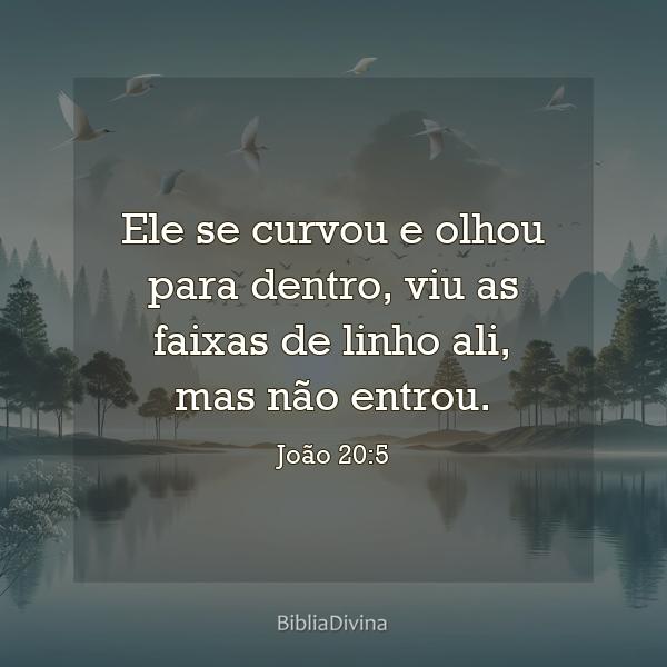 João 20:5