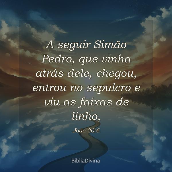 João 20:6