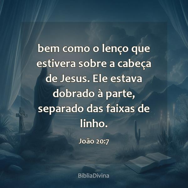 João 20:7