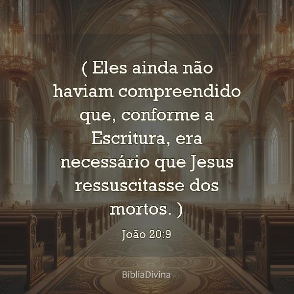 João 20:9