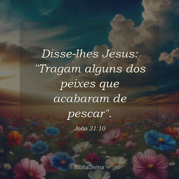 João 21:10