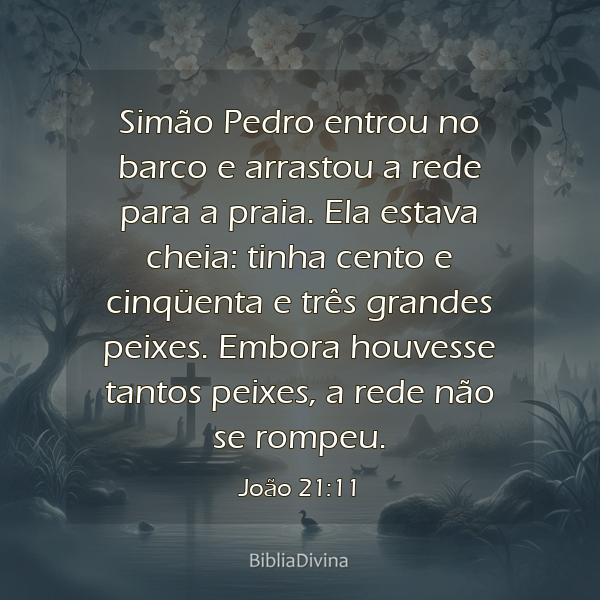 João 21:11