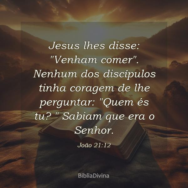 João 21:12