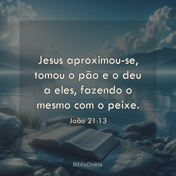 João 21:13