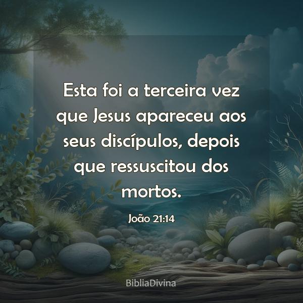 João 21:14