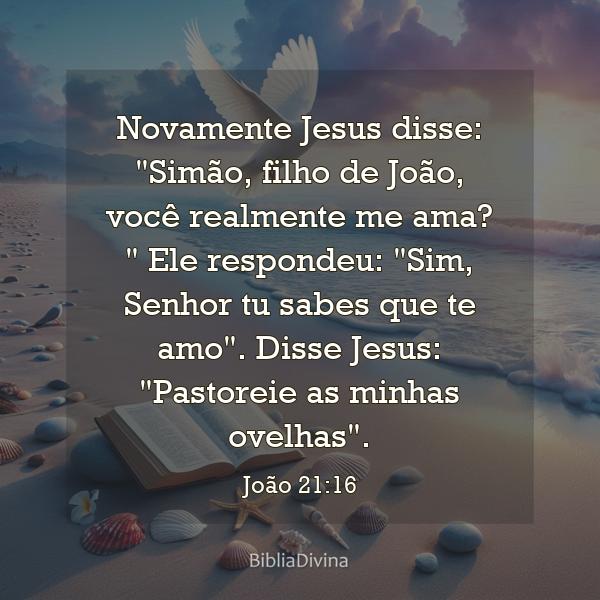 João 21:16