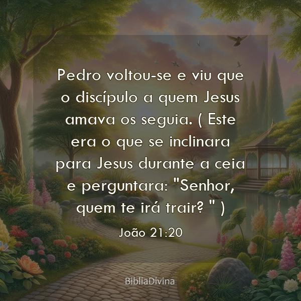 João 21:20