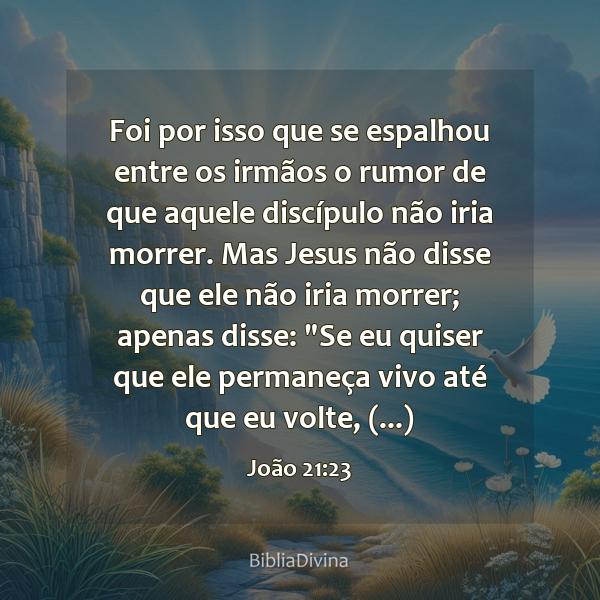 João 21:23