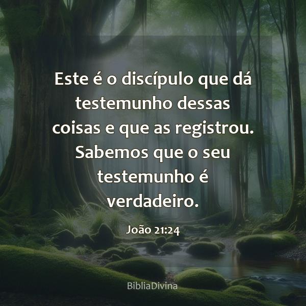 João 21:24