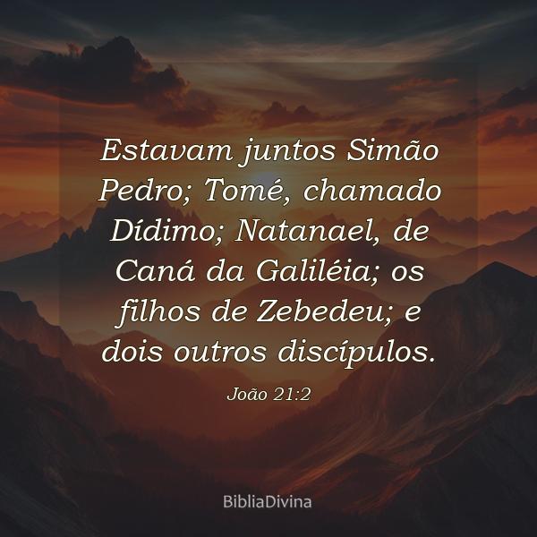 João 21:2