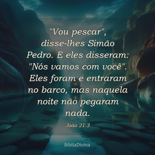 João 21:3