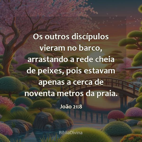 João 21:8