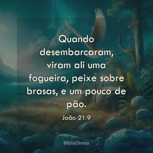 João 21:9