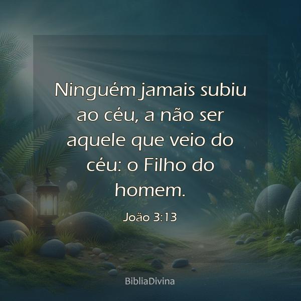 João 3:13