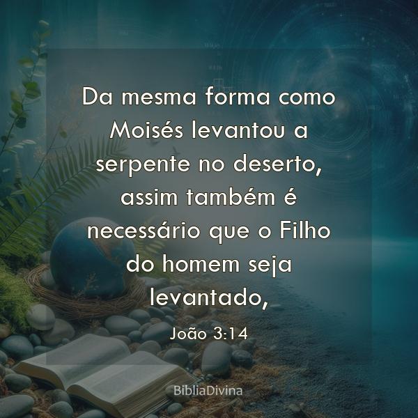 João 3:14