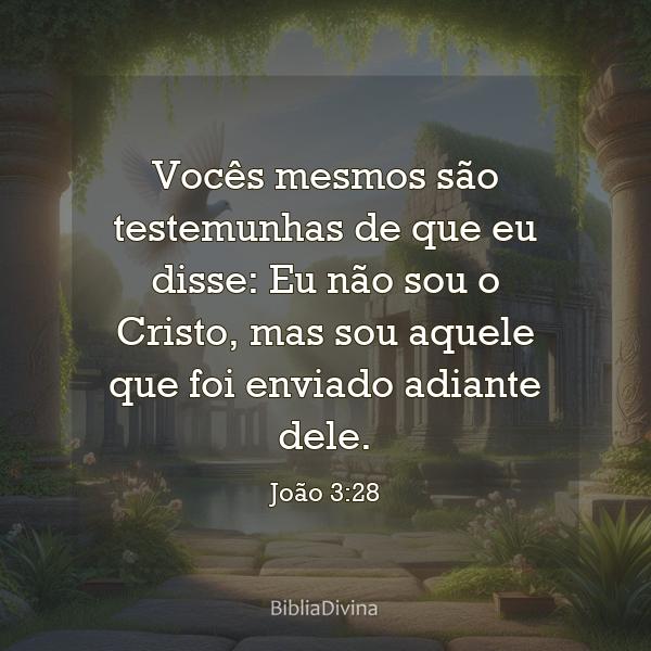 João 3:28