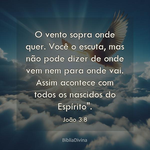 João 3:8