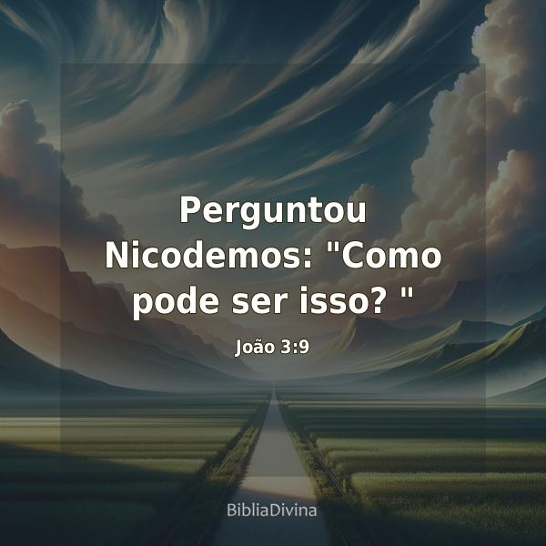 João 3:9