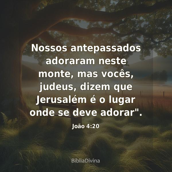 João 4:20