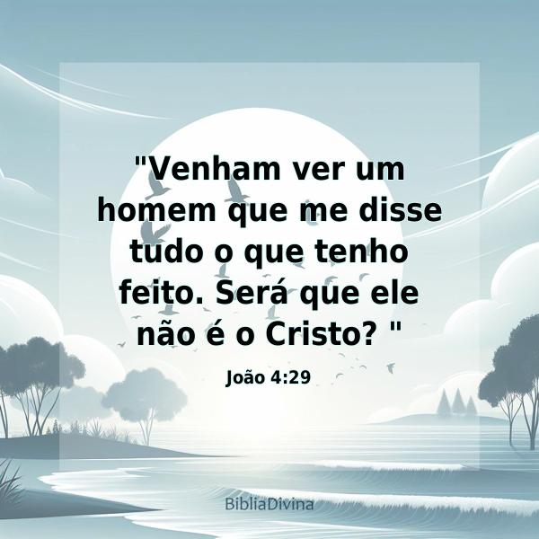 João 4:29