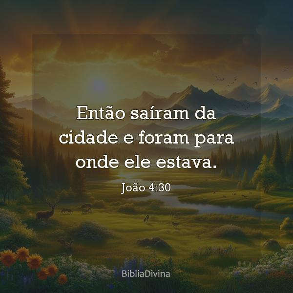 João 4:30