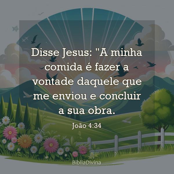 João 4:34