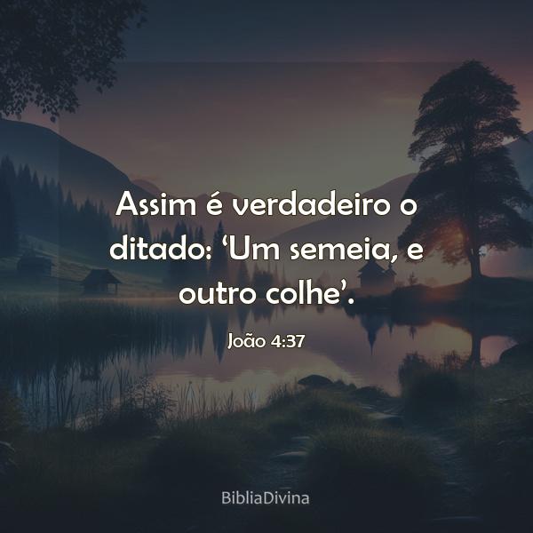 João 4:37