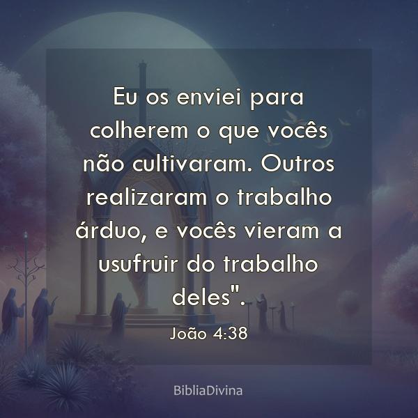 João 4:38