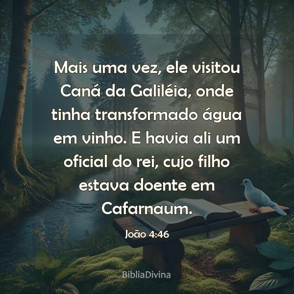 João 4:46