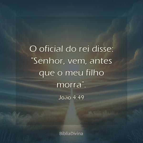 João 4:49