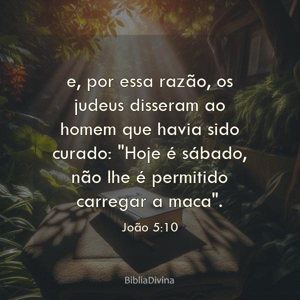 João 5:10