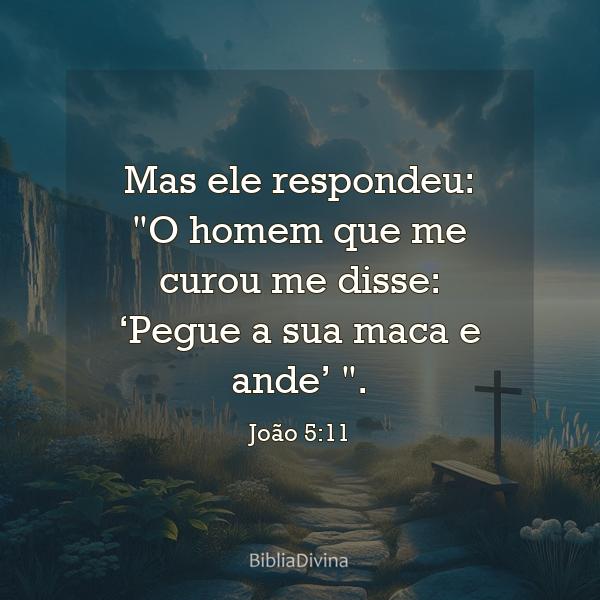 João 5:11