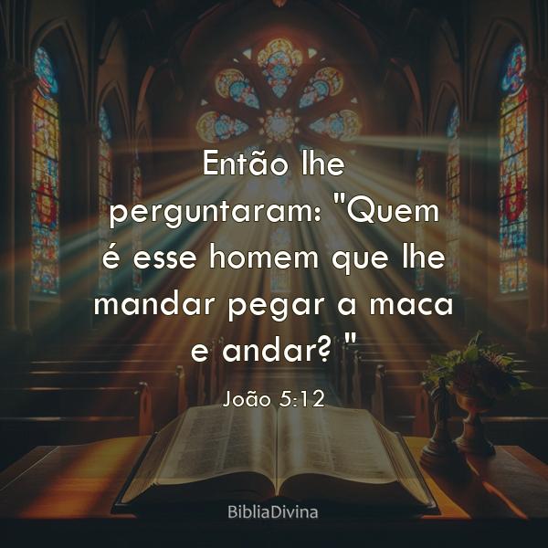 João 5:12