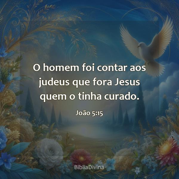 João 5:15