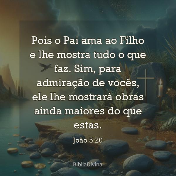 João 5:20