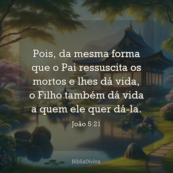 João 5:21