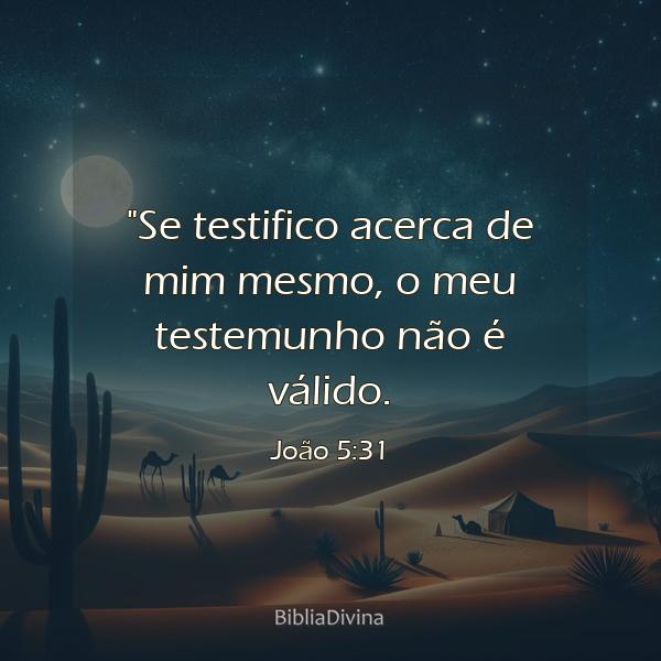 João 5:31