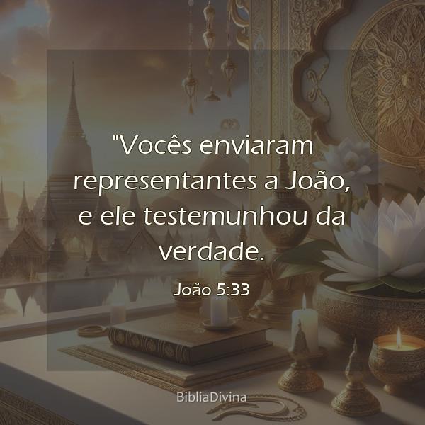 João 5:33